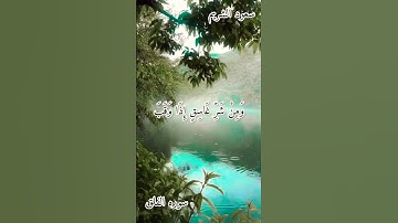 قُلْ أَعُوذُ بِرَبِّ الْفَلَقِ 💚سورة الفلق بصوت جميل جدا حالات واتس اب قرآن كريم ⚘️⚘️