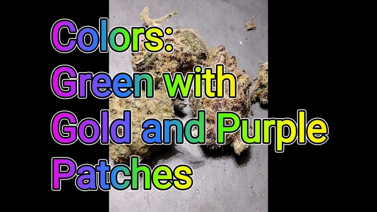 Pineapple Burst Strain ReviewBudpedia YouTube