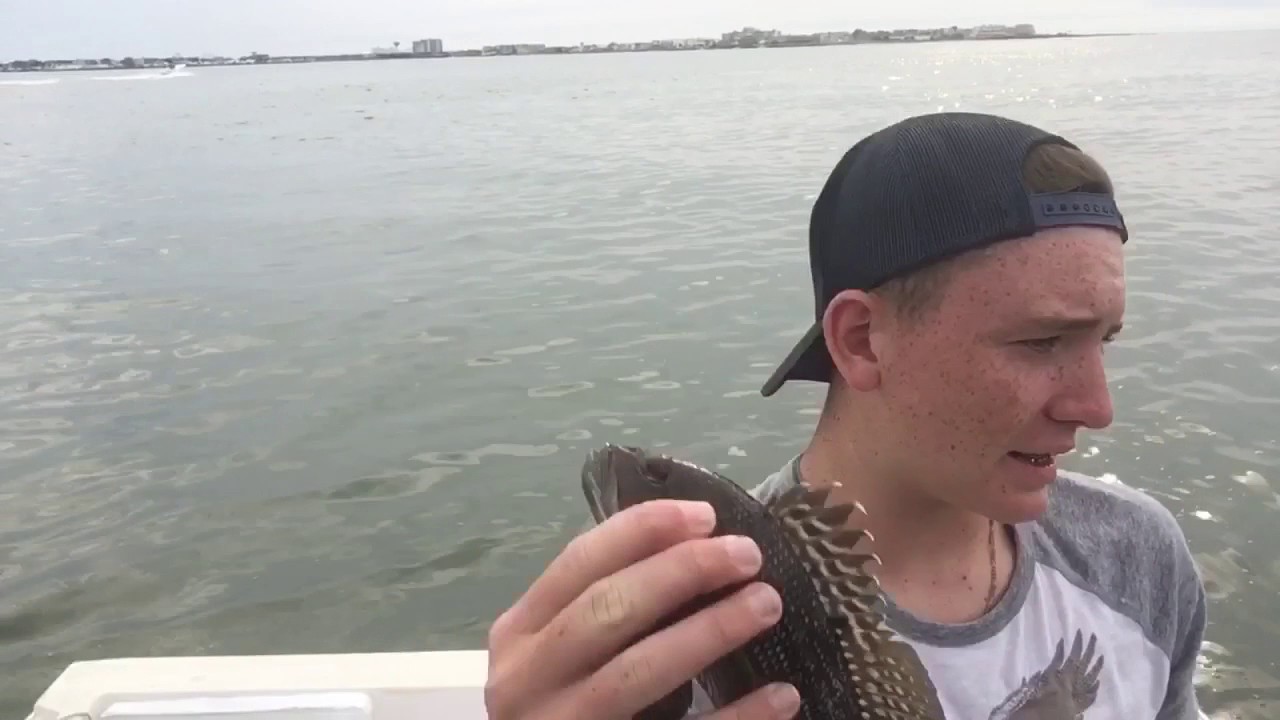 Fluke Fishing in Ocean City 