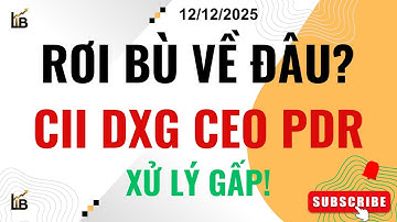 BĐS Rơi Bù Về Đâu? | Xử Lý Gấp Với CEO, CII, DXG, PDR... | Chứng Khoán Hôm Nay