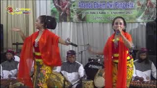 Live lengger  Calung Banyumasan  Klasik VIRTUAL  Kembange jagad  Cindaga  Darnos aglonema