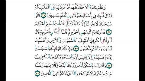 حفظ سورة البقرة من الايه 31 الى 35 مكررة