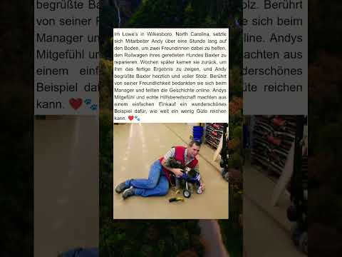 Mitarbeiter hilft über eine Stunde – nur um einem Hund wieder laufen zu lassen 🐾❤️