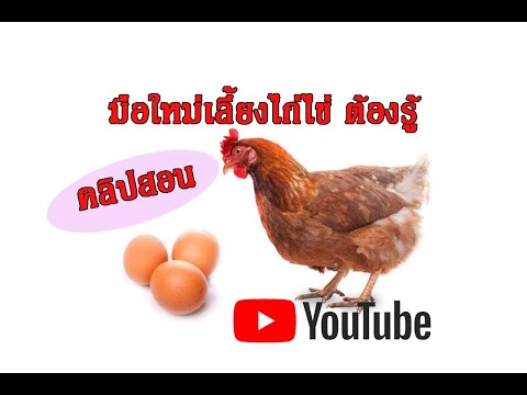 วีดีโอ: 5 วิธีในการเลี้ยงไก่