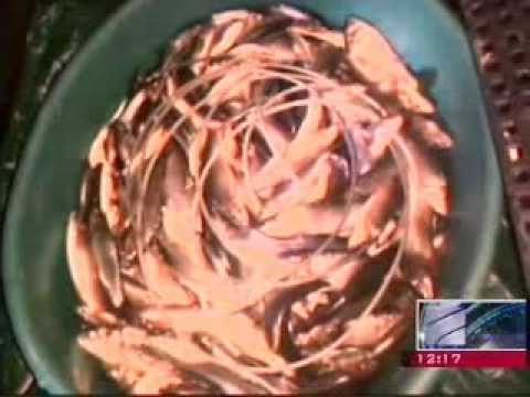 MOE: გარდაბნის მუნიციპალიტეტში უკანონო თევზჭერის ფაქტი გამოვლინდა