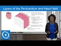 Layers of the Pericardium and Heart Wall – Physiology | Lecturio Nursing