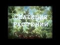 Селекция растений