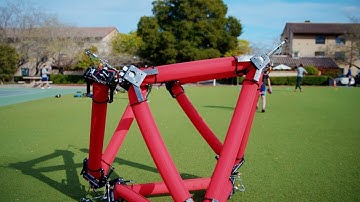 Stanford engineers develop crawling and transforming soft robot