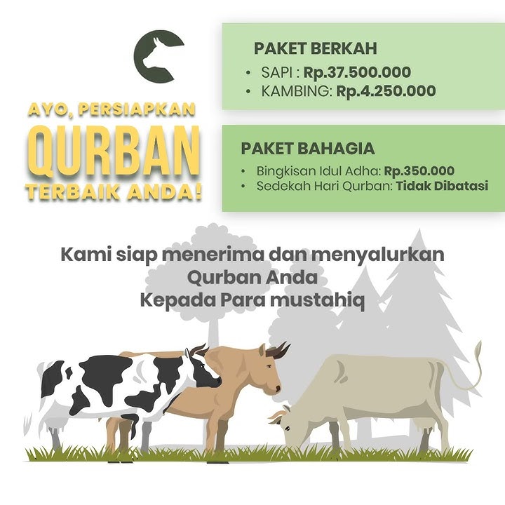 Contoh video promosi hewan qurban kambing, unta, sapi, domba, kerbau untuk diklan media sosial seper