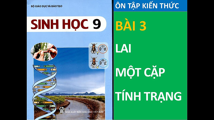 Bài tập 4 lai một cặp tính trạng tiếp theo năm 2024