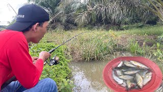 FINDING FISH NESTS DURING FLOODS AUTO STRIKE TRUS‼️eating in nature is more delicious