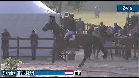 Knhs hippiade 2022 100 cm springen