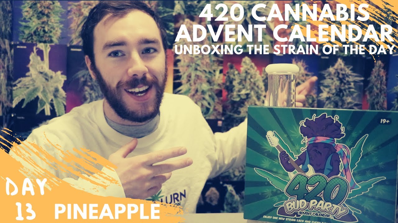 Day 13: Pineapple Marijuana Strain Review - 420 Cannabis Advent Calendar Unboxing