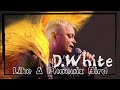 D.White - Like A Phoenix Bird (Official Music Video, 2023). NEW Italo Disco, Euro Disco, Euro Pop