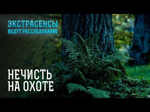 Видео: Потусторонние силы забирают жизни – Экстрасенсы ведут расследование