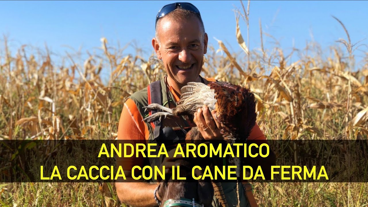 ANDREA AROMATICO: CACCIARE CON IL CANE DA FERMA _ 