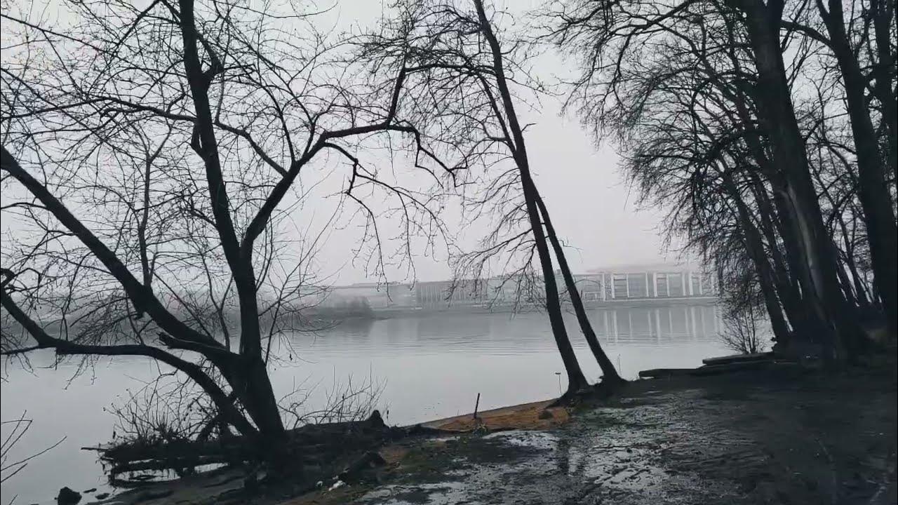 Ни страны ни погоста тема. Бродский ни страны ни погоста не хочу выбирать.