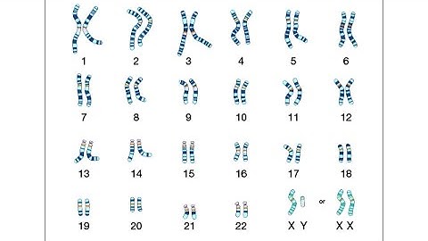 Genetics Lesson 3: Modern Understandings of Inheritance
