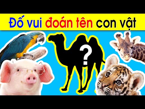 Video Câu ĐỐ VUI CHO BÉ về con vật - Đố vui giáo dục cho TRẺ... - youtube