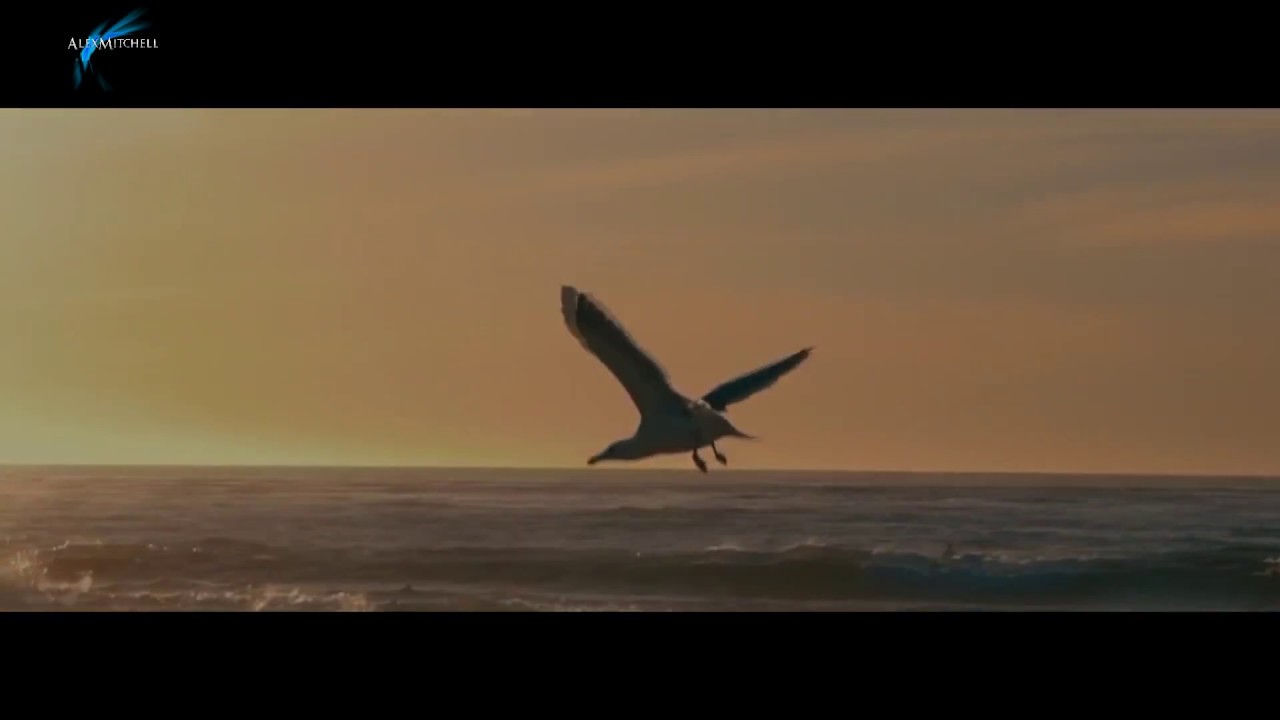 Daminika - Wind of change (Chillout mix)