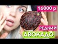 ОПАСНЫЙ АВОКАДО  за 16 000 р САМЫЙ РЕДКИЙ ФРУКТ