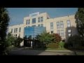Video Image
