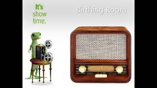 Geico Birthing Room 2007 Usa Radio