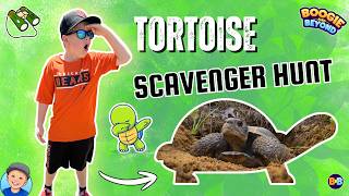 Gopher Tortoise Scavenger Hunt! 🐢 How Many Can We Find!
