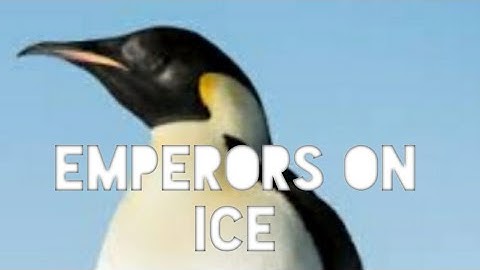 Emperors on Ice / Explanation/Class 8/ Part 1