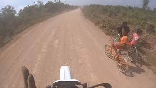 Stray Dogs In Cambodia Day 1,2 And 3