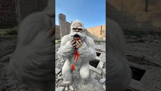Old yetti drinked poison