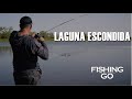 #TARUCHAS en Rosario - FISHING GO