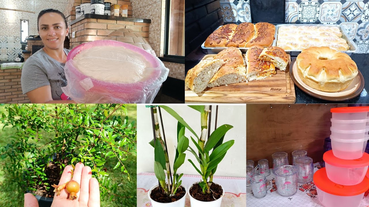 PADARIA SEM SAIR DE CASA/MASSA PARA FAZER PÃO DOCE E SALGADO+GANHEI MUDAS E MIMOS/ROTINA DO DIA