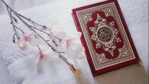 تلاوة الشاب الفلسطيني أسامة ناصر صاحب الصوت الجميل