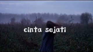 Cinta Sejati - Bunga Citra Lestari // Tiktok Version