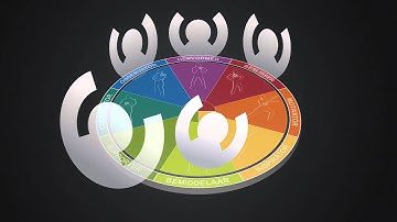 Insights Discovery van Connecting Colours