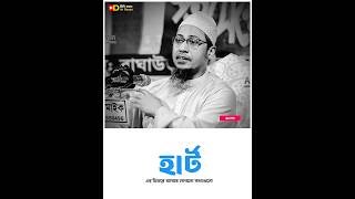 Anisur Rahman asrafi waz😓😥💔 //#unfrezzmyaccount #banglawaz #ইসলামিকওয়াজ #waz #তাকদির #দ্বীনি_আলোচনা