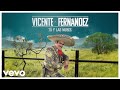 Vicente fernndez  t y las nubes lyrics