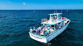 Most Affordable Fishing! “Miss Islamorada” Headboat Trip with Mission Fishin! Catch and Cook