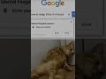 sleep#popular #edit #explore #funny #memes #trendingmemes #viralmeme#aesthetic#lofimusic#shortfeed