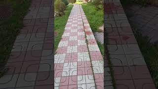 2025 Yılının En Soğuk Geçen Nisan Ayı Kediler Hava Almaya Çıkmış