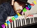 Bahroma - Магнит (cover by vsn)