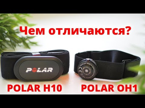 Чем отличаются пульсометры Polar H10 от Polar OH1 ?