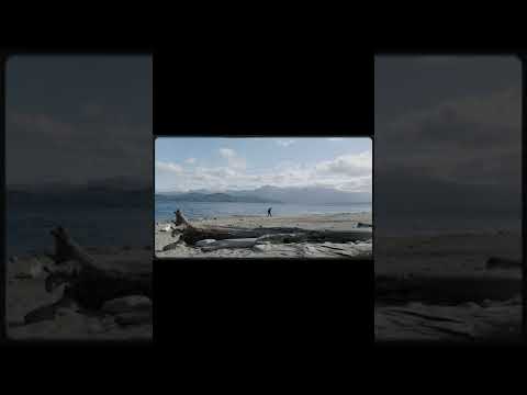Nəriman Həsənzadə -
