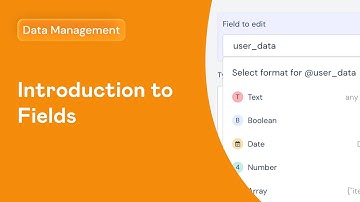 Introduction to Fields | Landbot