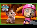 Szveszt ments a tigrisek megmentse  mancs rjrat  paw patrol epizd magyar rajzfilmek