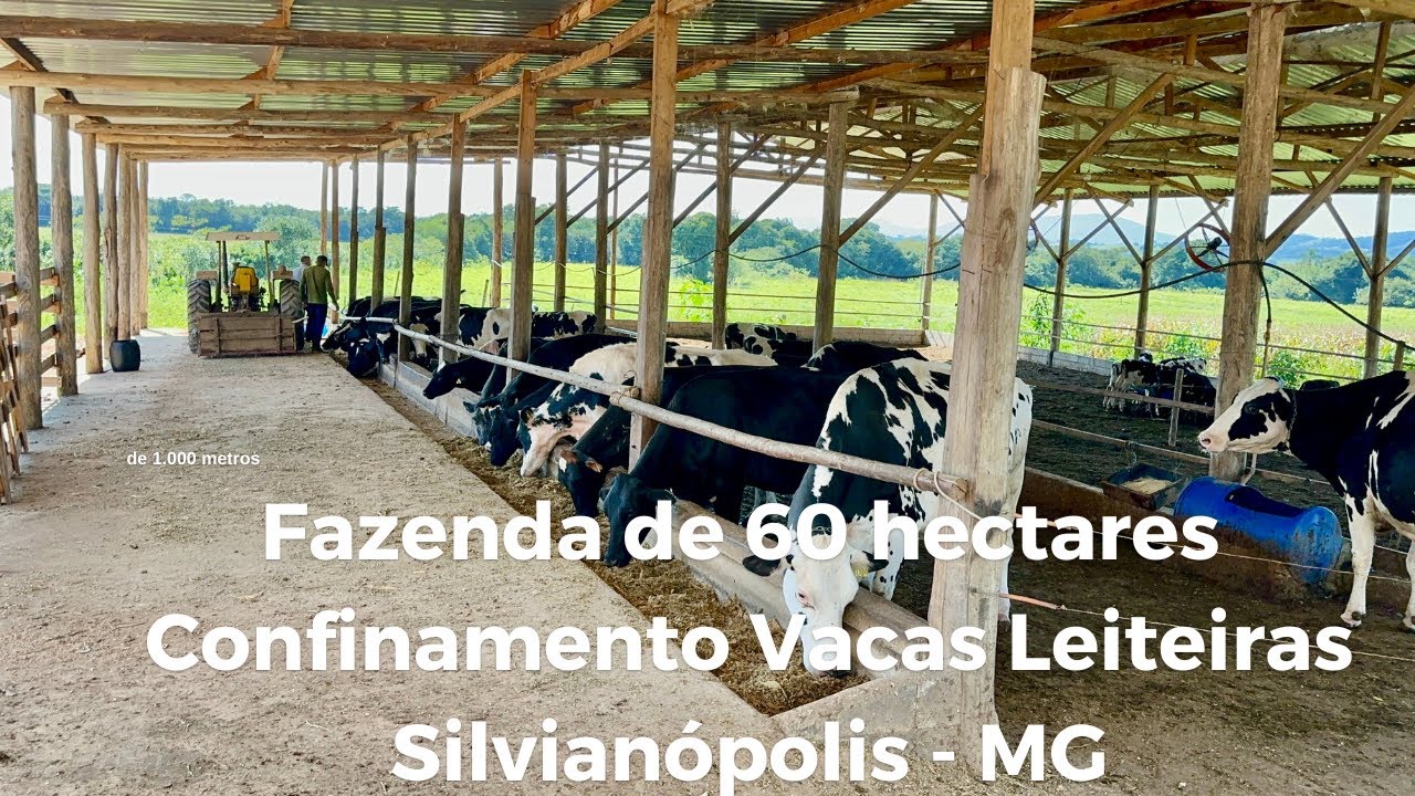 Com 2 Casas, Curral c/ ordenha p/ 8 vacas, Galpão p/ confinamento de 45 vacas, Reserva c/ Rio Cervo.
