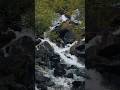 🌊 Peaceful Waterfall in the Heart of Nature #shorts #nature #waterfall #youtubeshorts #explore