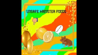 TOP 5 UNSAFE hamster foods! screenshot 5