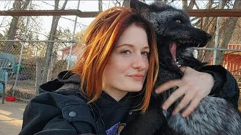 Meet Ruby fox!